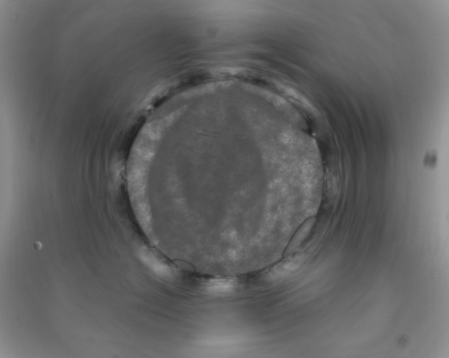 X0000090620574200708141415