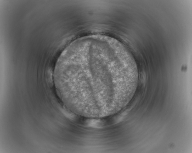 X0000090620575200708141415