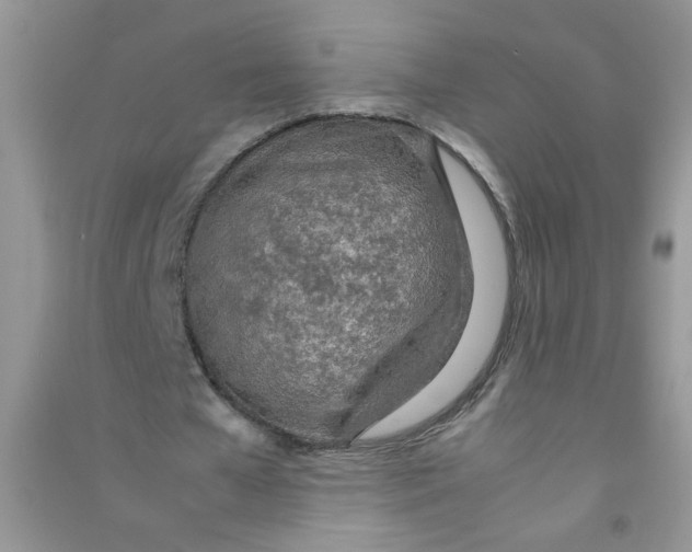 X0000090620577200708141415