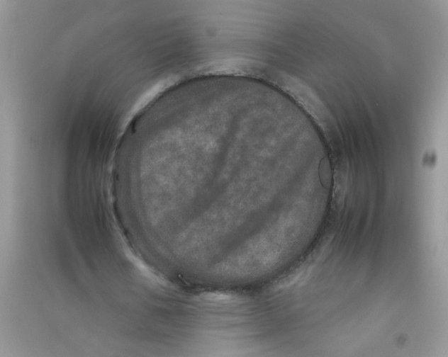 X0000090620578200708141415