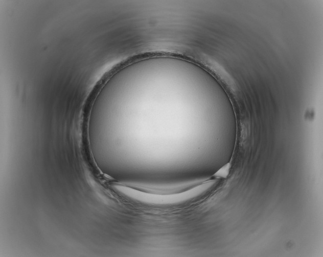 X0000090620580200708141415