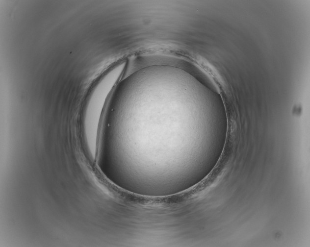 X0000090620581200708141415