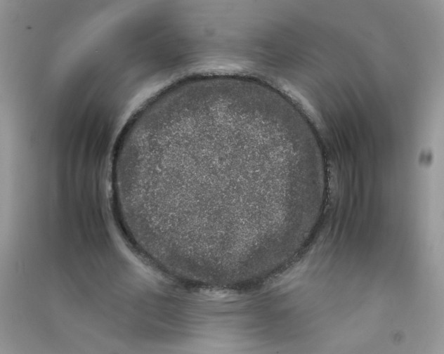 X0000090620582200708141415