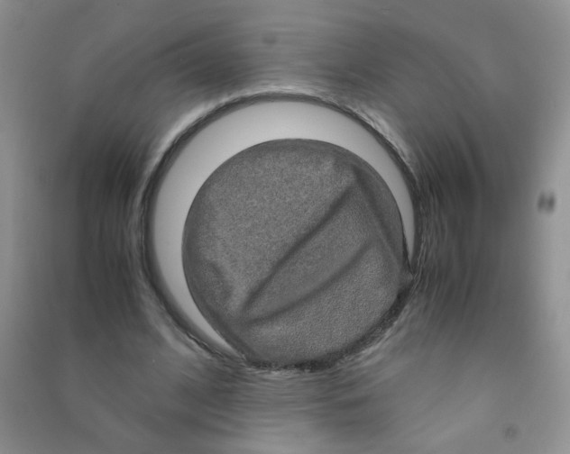 X0000090620584200708141415