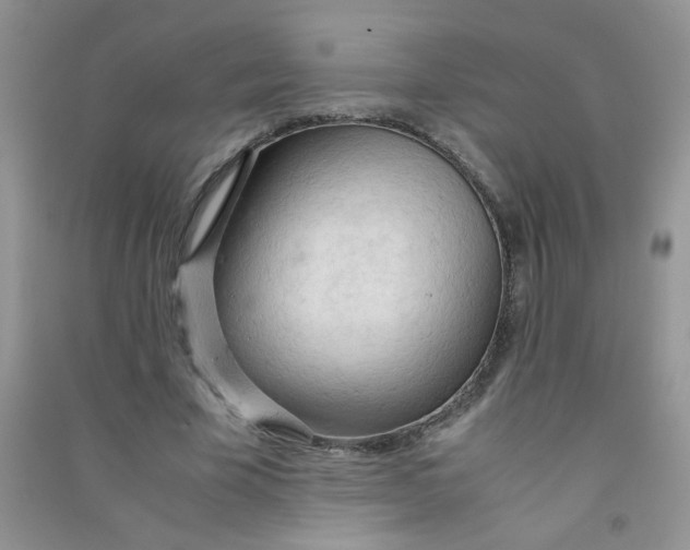 X0000090620585200708141415