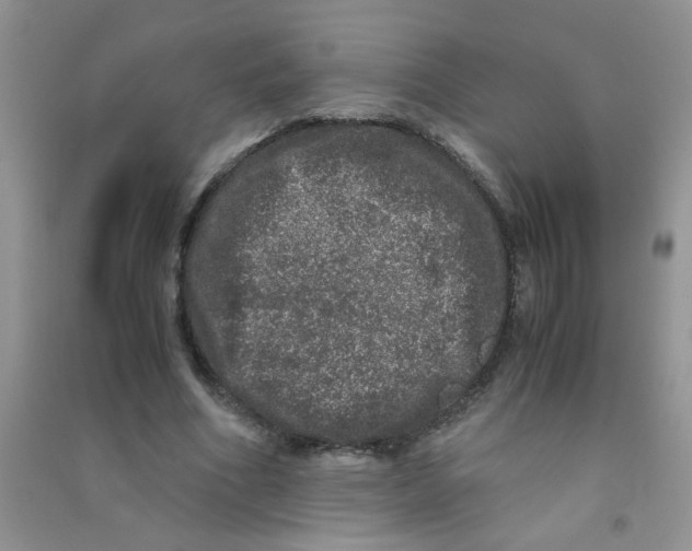 X0000090620586200708141415