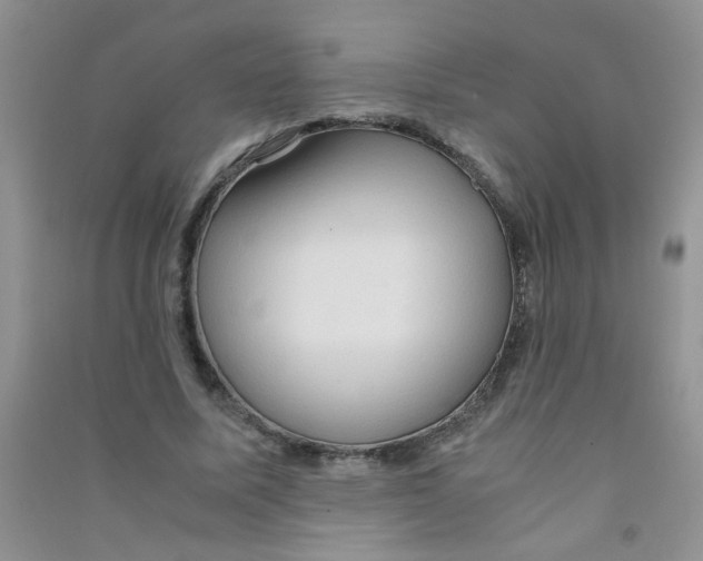 X0000090620587200708141415