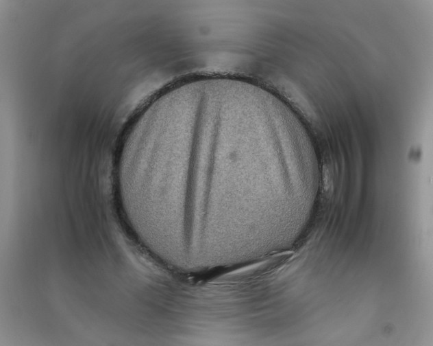 X0000090620588200708141414