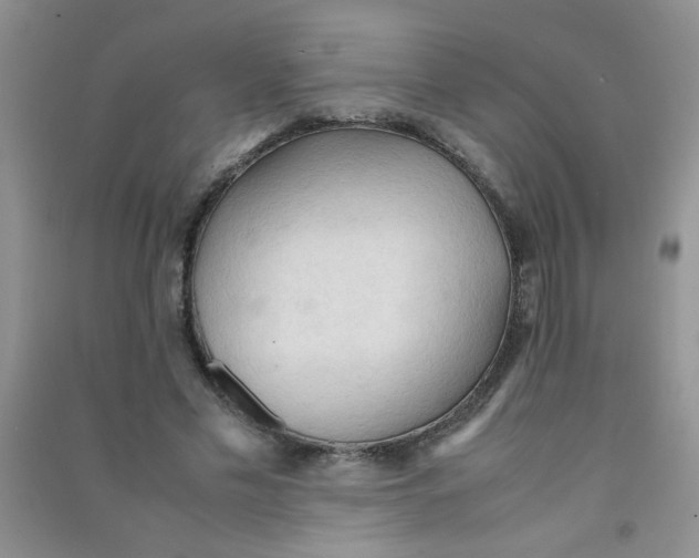 X0000090620589200708141414