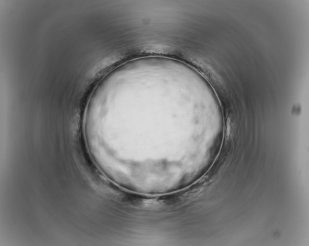 X0000090620591200708141414