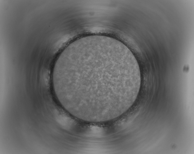 X0000090620592200708141414