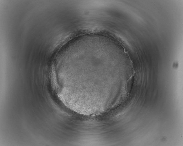 X0000090620594200708141414