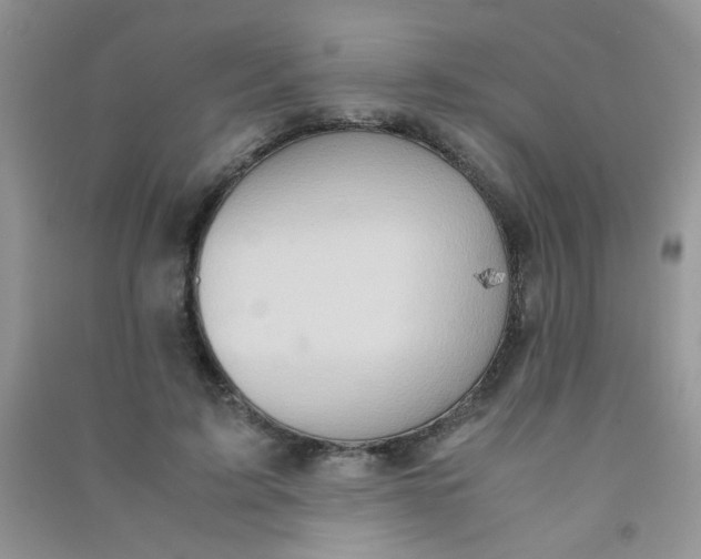 X0000090620595200708141414