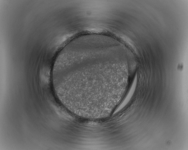 X0000090620596200708141414