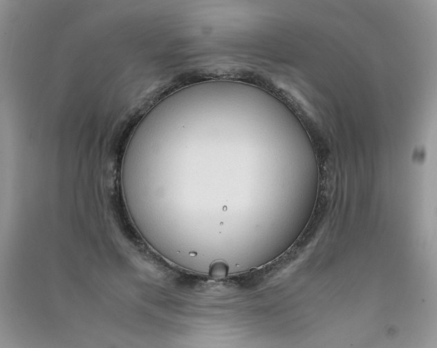 X0000090620597200708141414