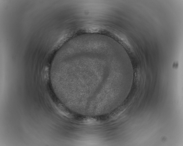 X0000090620598200708141414