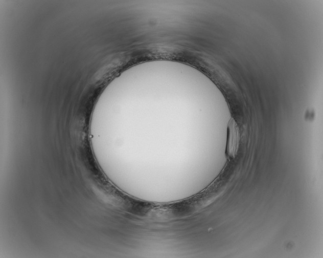 X0000090620599200708141414