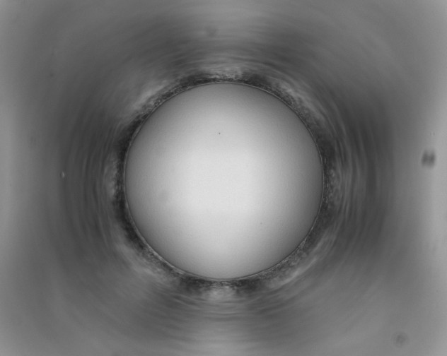 X0000090620600200708141414