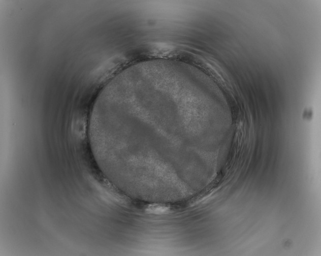 X0000090620602200708141414