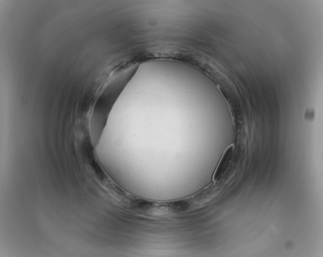 X0000090620604200708141414