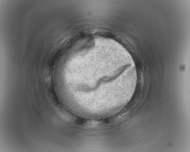 X0000090620607200708141414