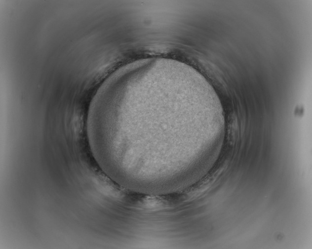 X0000090620608200708141414