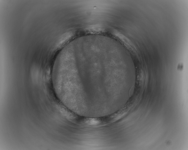 X0000090620610200708141414