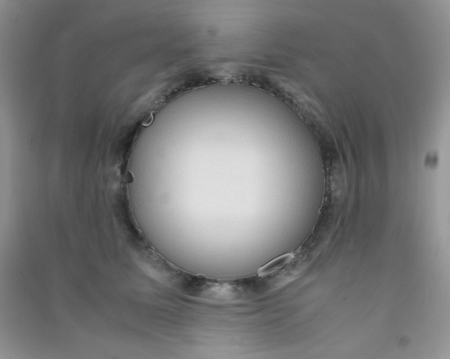 X0000090620611200708141414