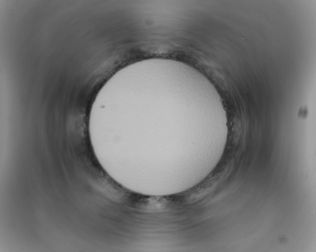 X0000090620612200708141414