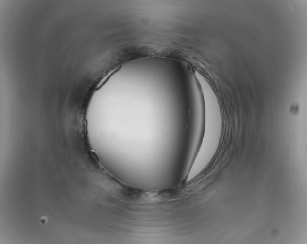 X0000090620613200708141414