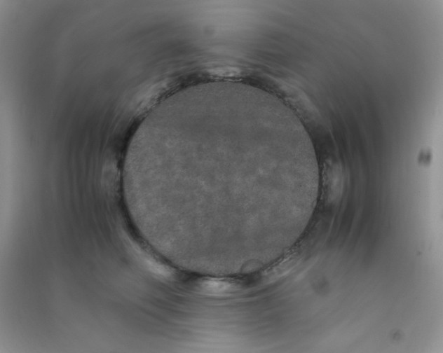 X0000090620614200708141414