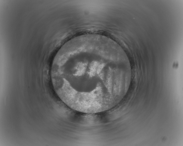 X0000090620615200708141414