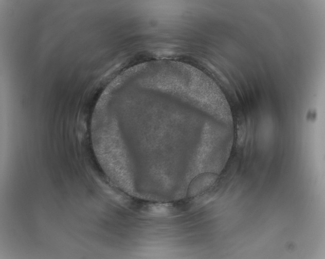 X0000090620618200708141414