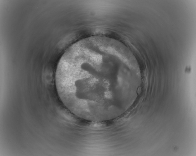 X0000090620619200708141414