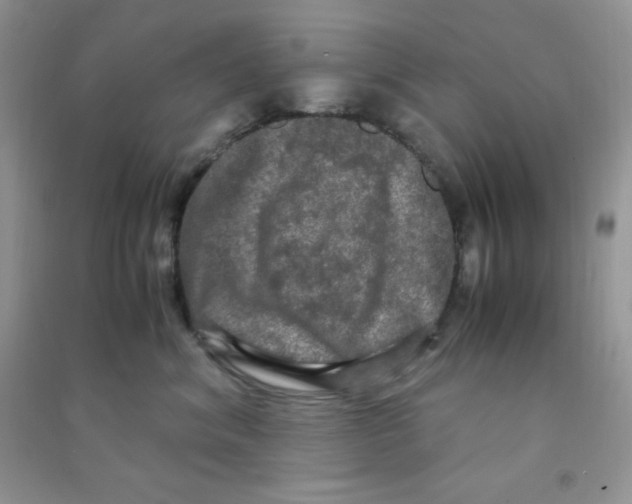 X0000090620620200708141414