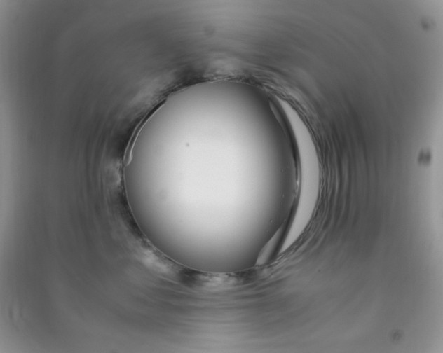 X0000090620621200708141414