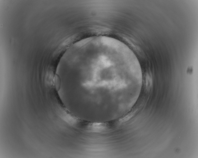 X0000090620622200708141414