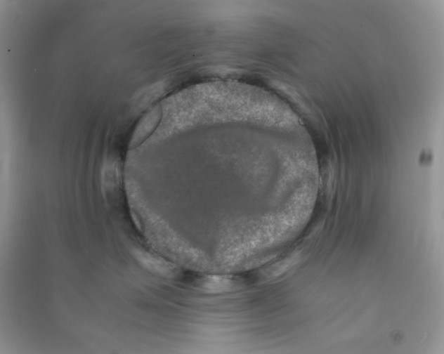 X0000090620623200708141414