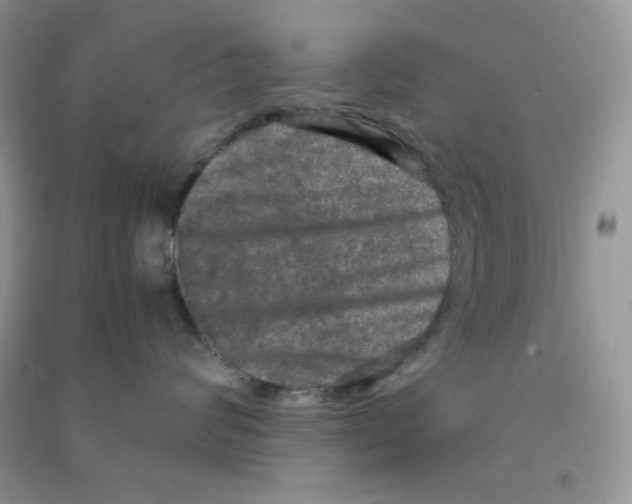 X0000090620624200708141414