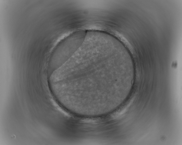 X0000090620625200708141413