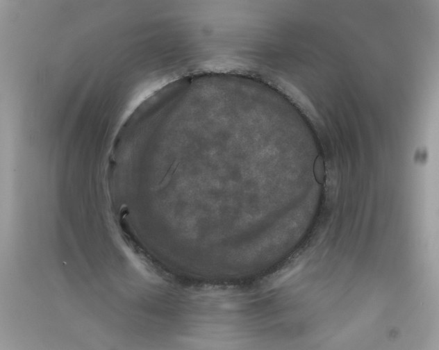 X0000090620626200708141413