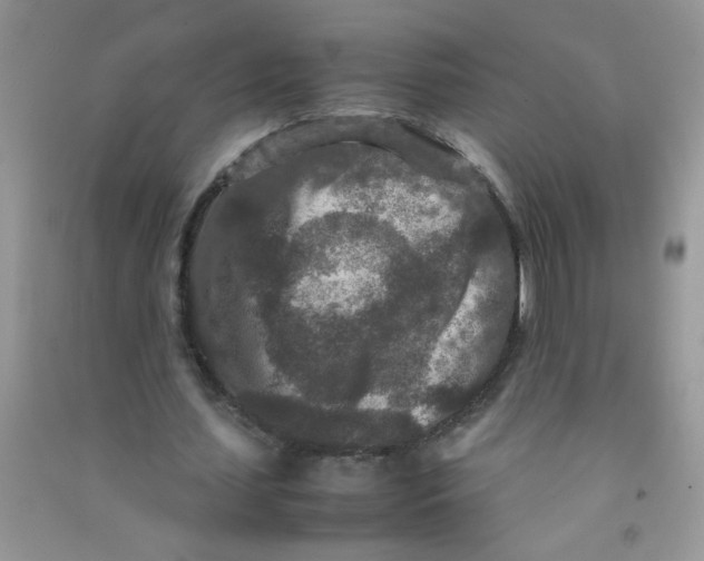 X0000090620627200708141413