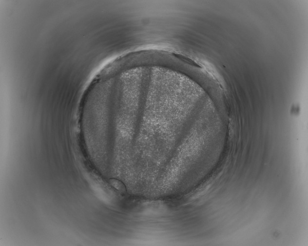 X0000090620628200708141413