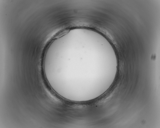 X0000090620629200708141414