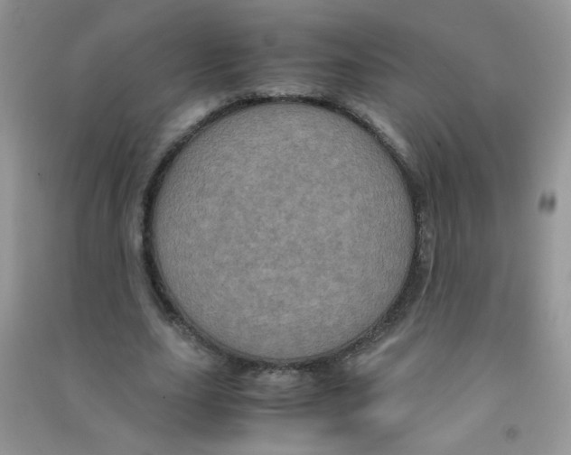 X0000090620631200708141414