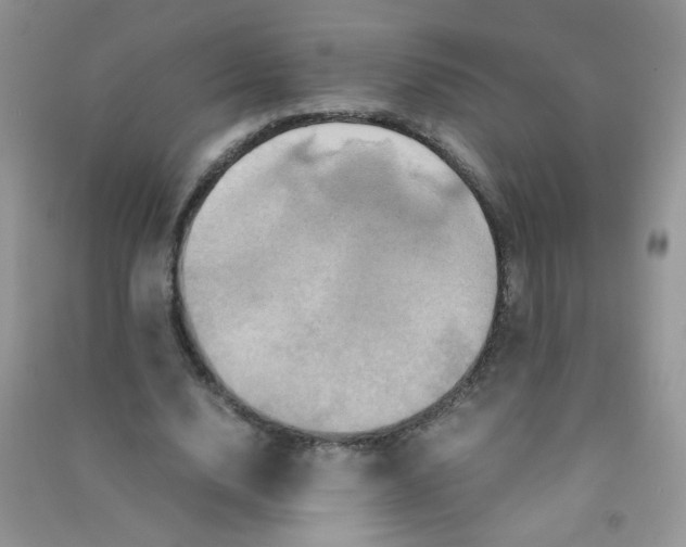 X0000090620632200708141414