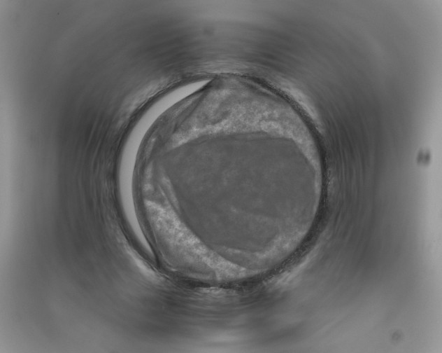 X0000090620633200708141414