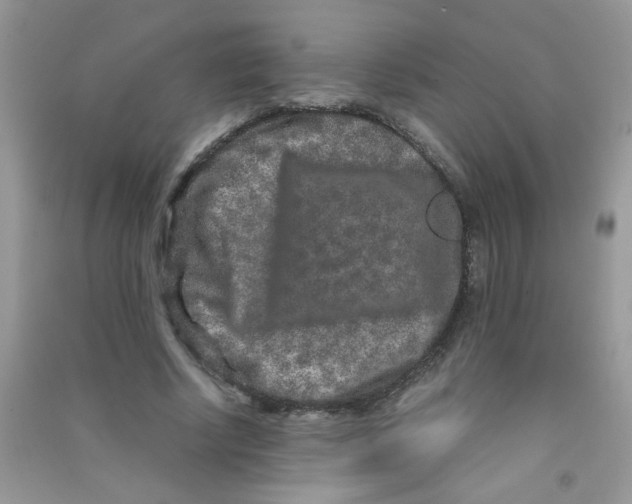 X0000090620634200708141414