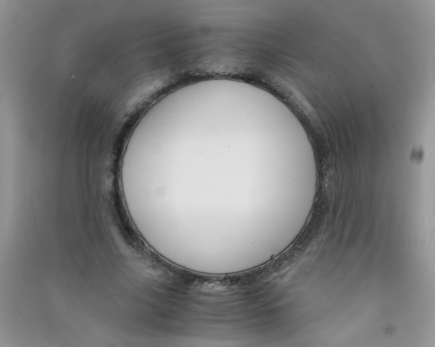 X0000090620635200708141414