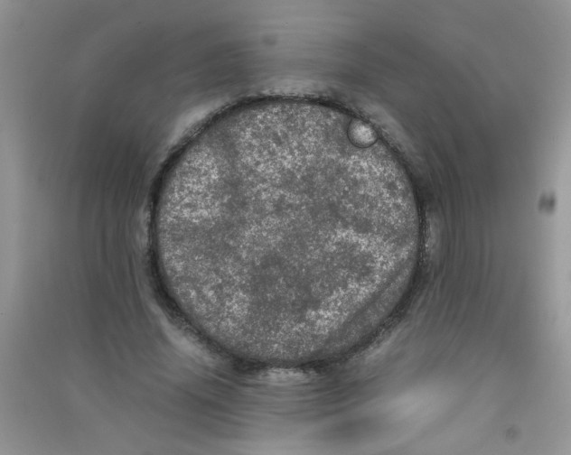 X0000090620636200708141414